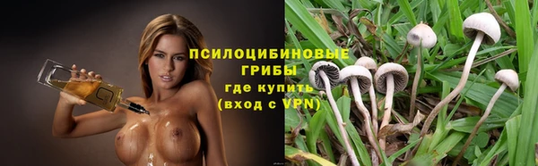 амф Вяземский