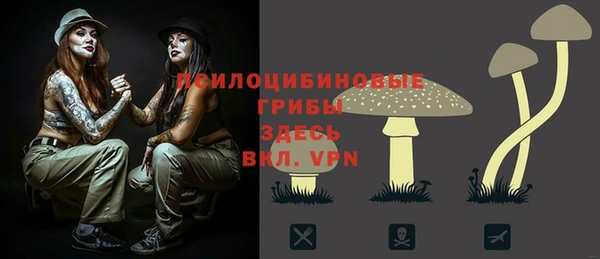 амф Вяземский