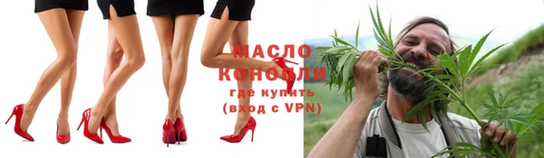 амф Вяземский