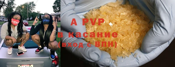 амф Вяземский
