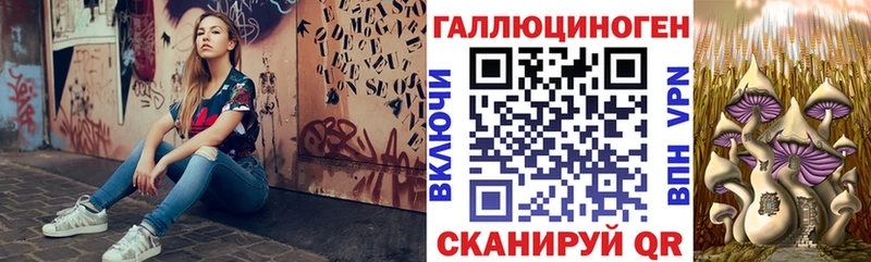 Галлюциногенные грибы мицелий  ОМГ ОМГ сайт  Чкаловск 